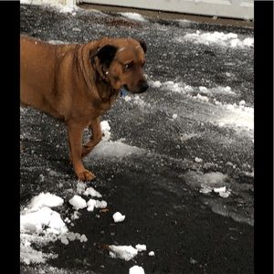 Meet your Posher, Anne